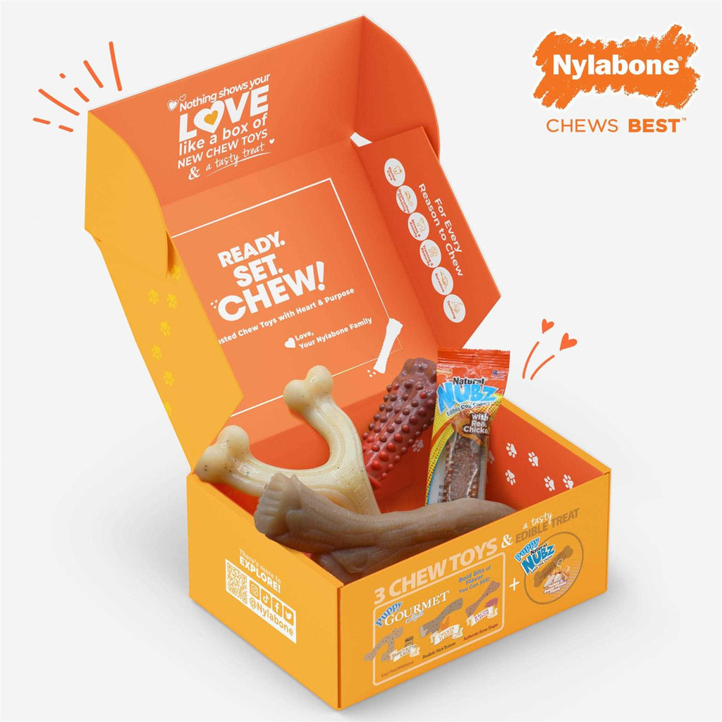 Chew Toy & Treat Gift Box X391
