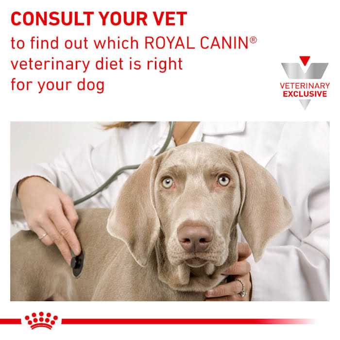 Renal Support Canned Dog Food Y21994