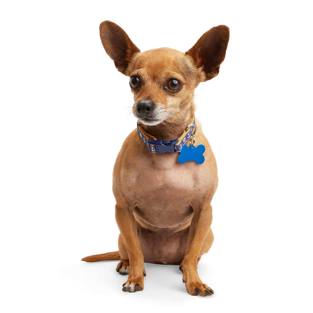 Dog Collar Z80057