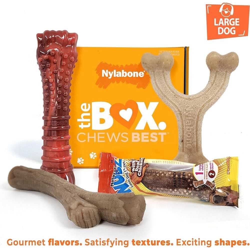 Chew Toy & Treat Gift Box X391