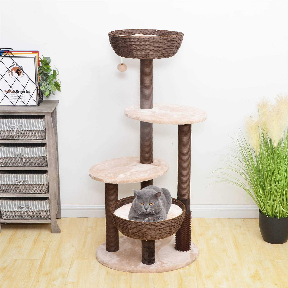 Brown Cat Tree S764
