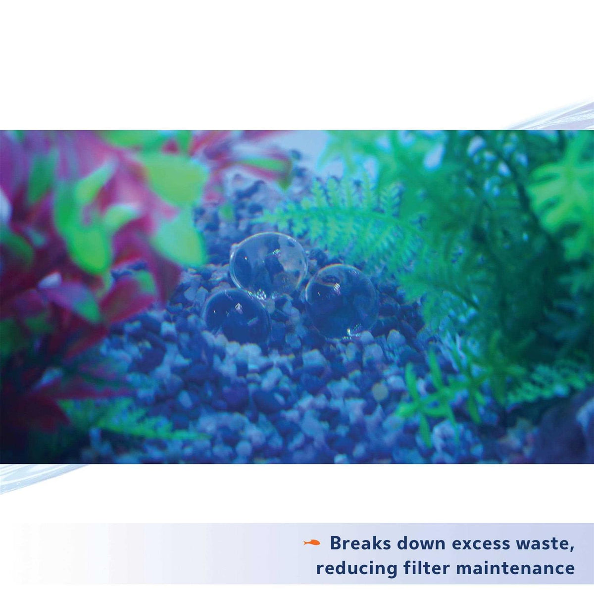 Bacteria Supplement S25730