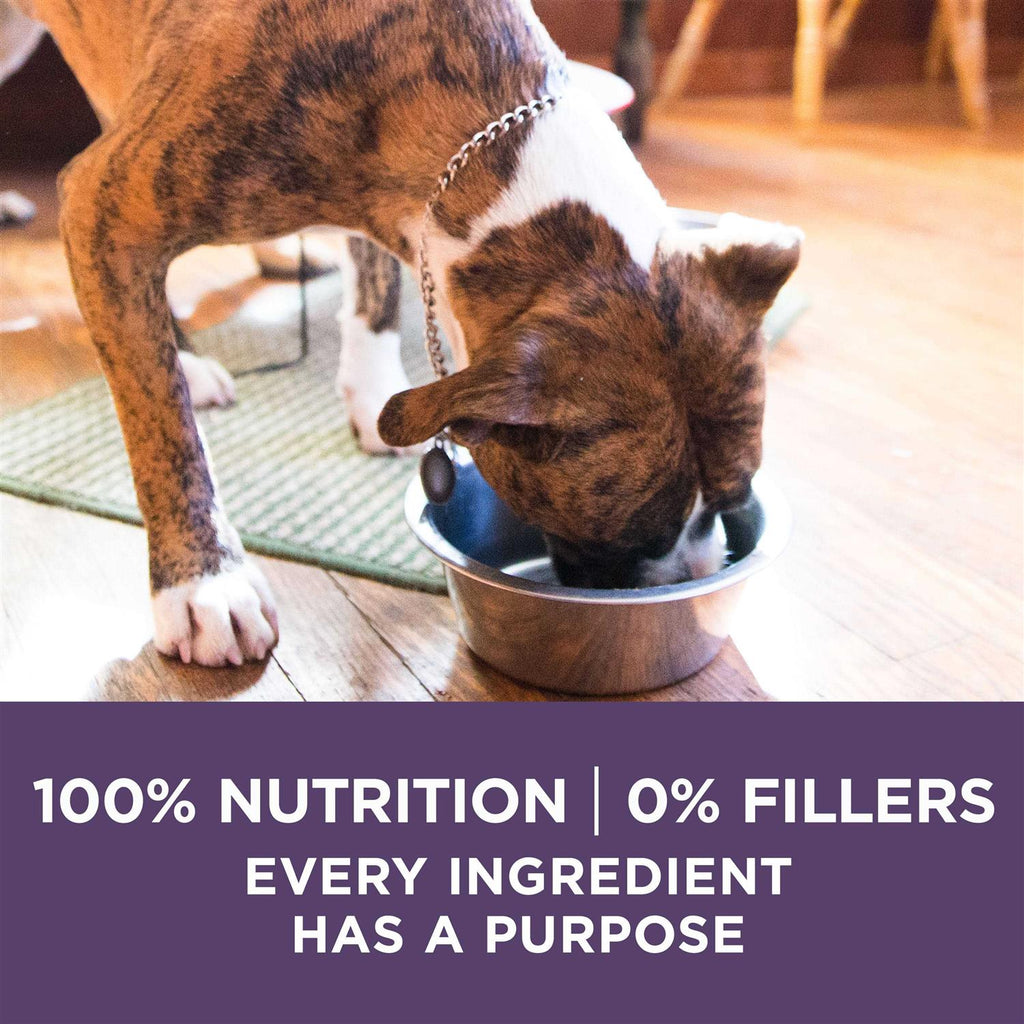 Adult Dry Dog Food H7192
