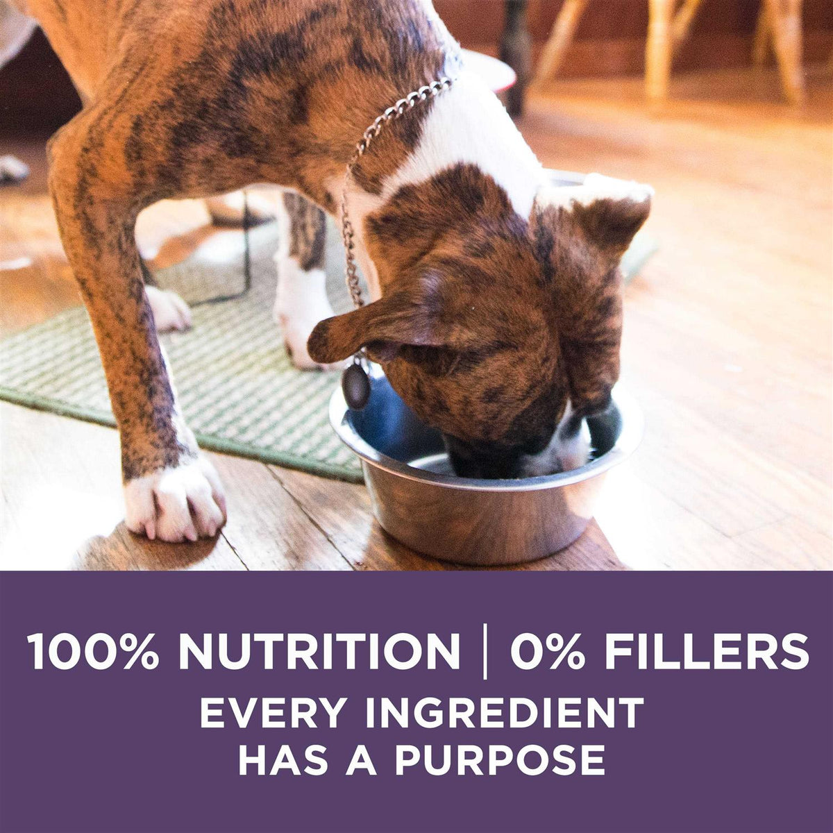 Adult Dry Dog Food H7192