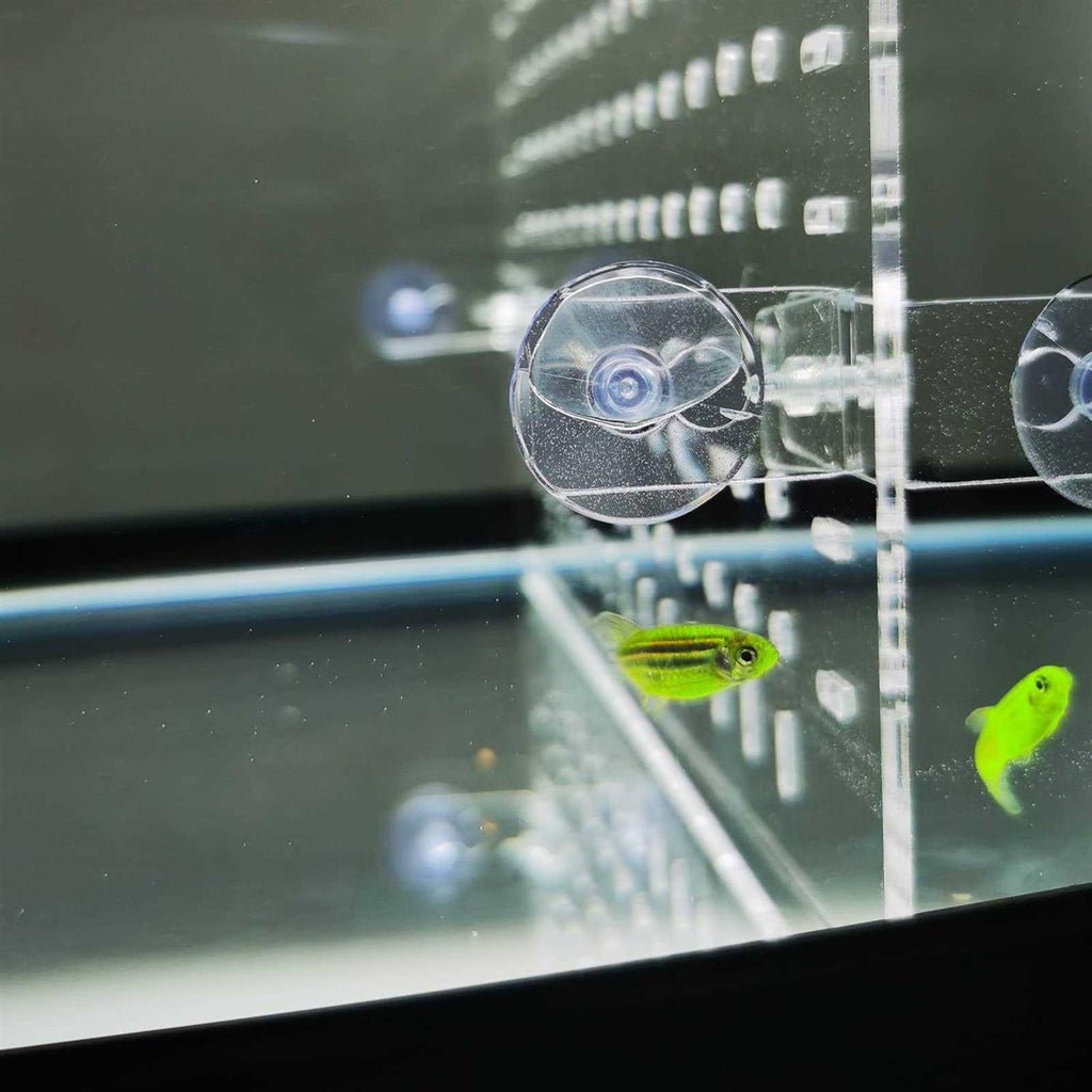 Clear Aquarium Divider with Suction Cups E261370