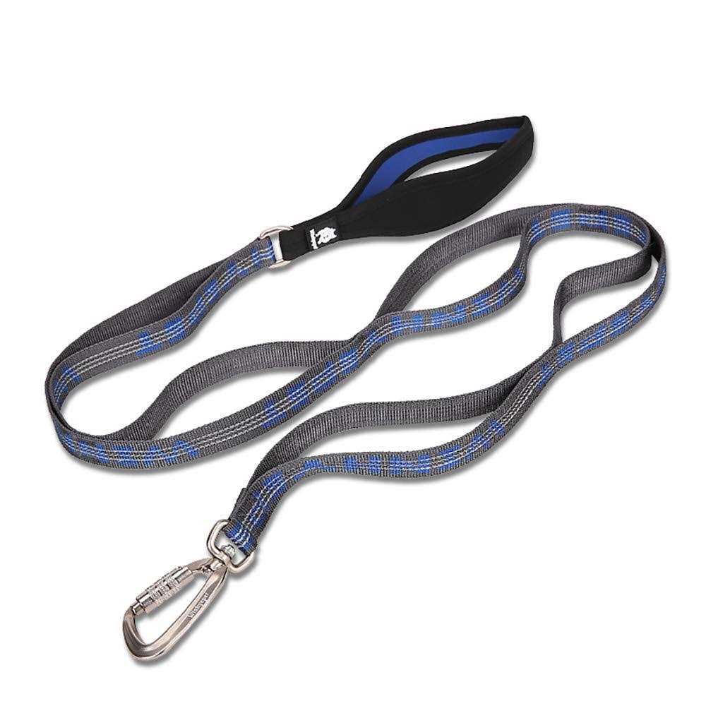 Heavy Duty Dog Leash Q858