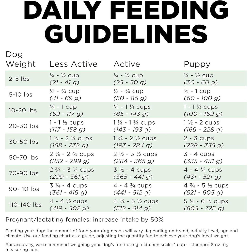 Salmon Recipe Dry Dog Food L60414