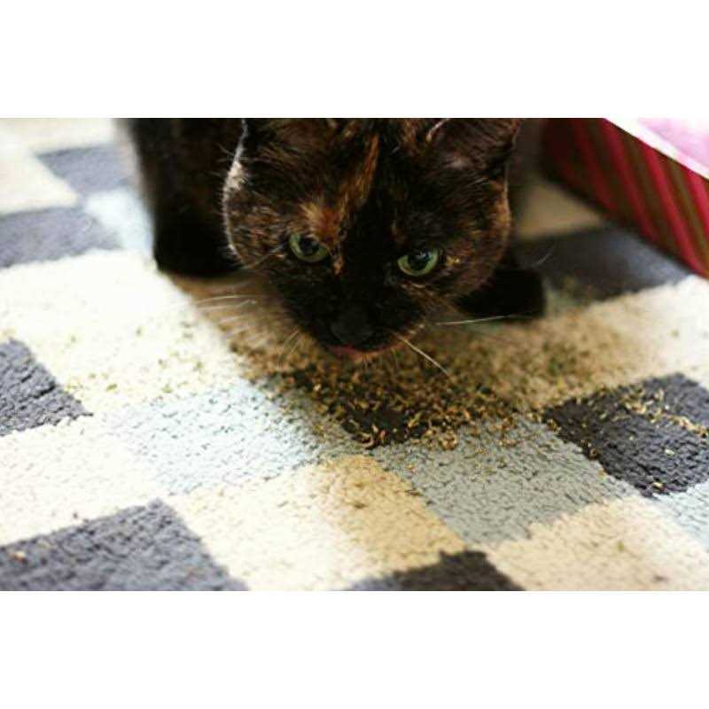 Lavender Catnip Blend H197