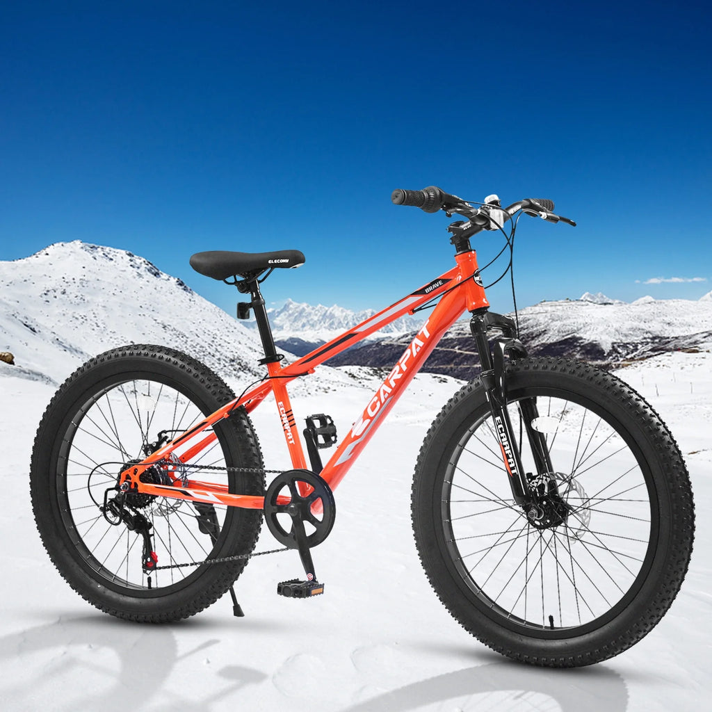 24 inch Fat Tire Mountain Bike, 7 Speeds, Dual Disc Brake, Orange B90532