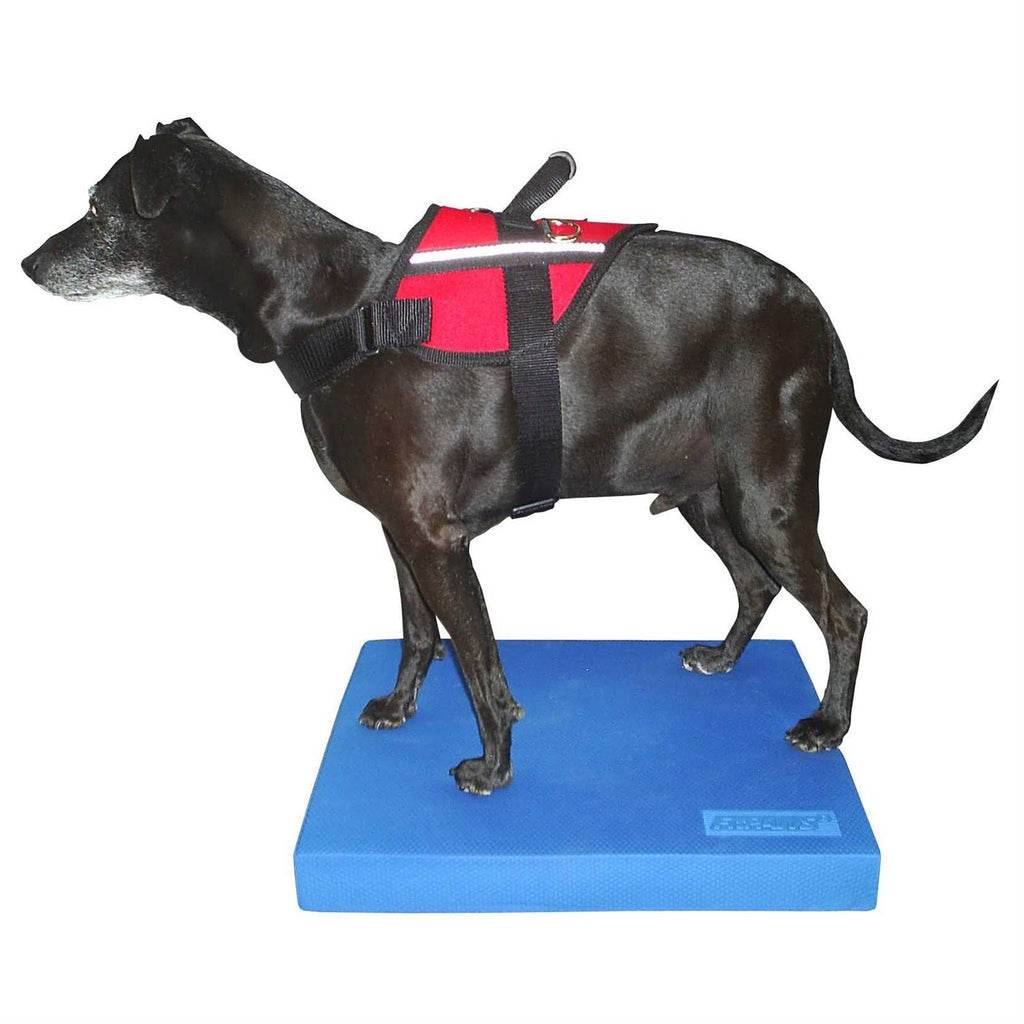 Balance Pad N55159