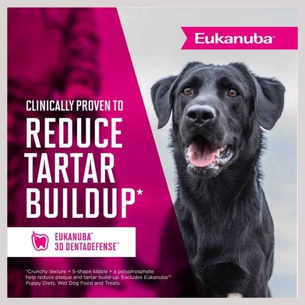 Senior Dry Dog Food T69374