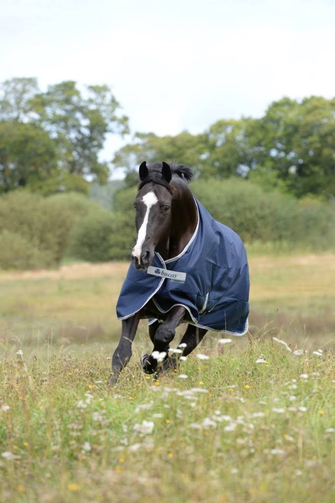 Navy 300g Turnout T826
