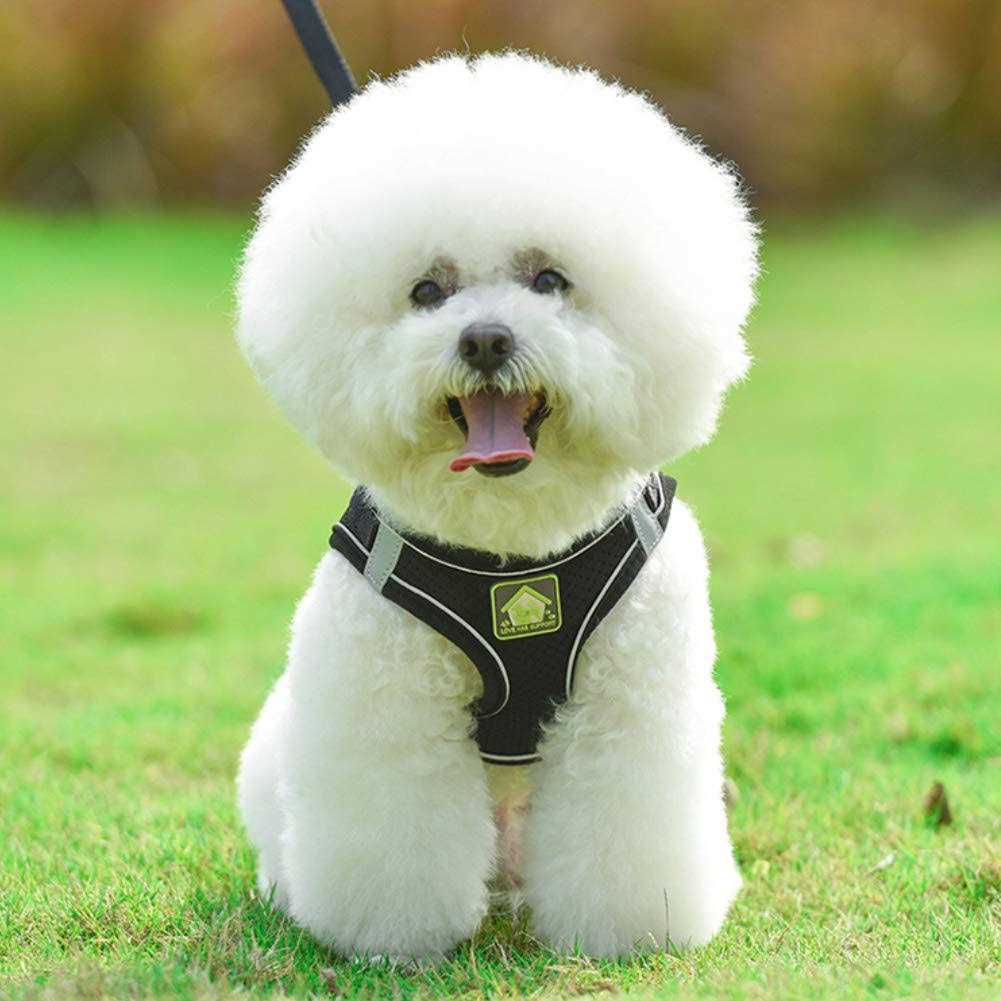 No-Pull Soft Mesh Reflective Adjustable Dog Harness and Leash Set V444009