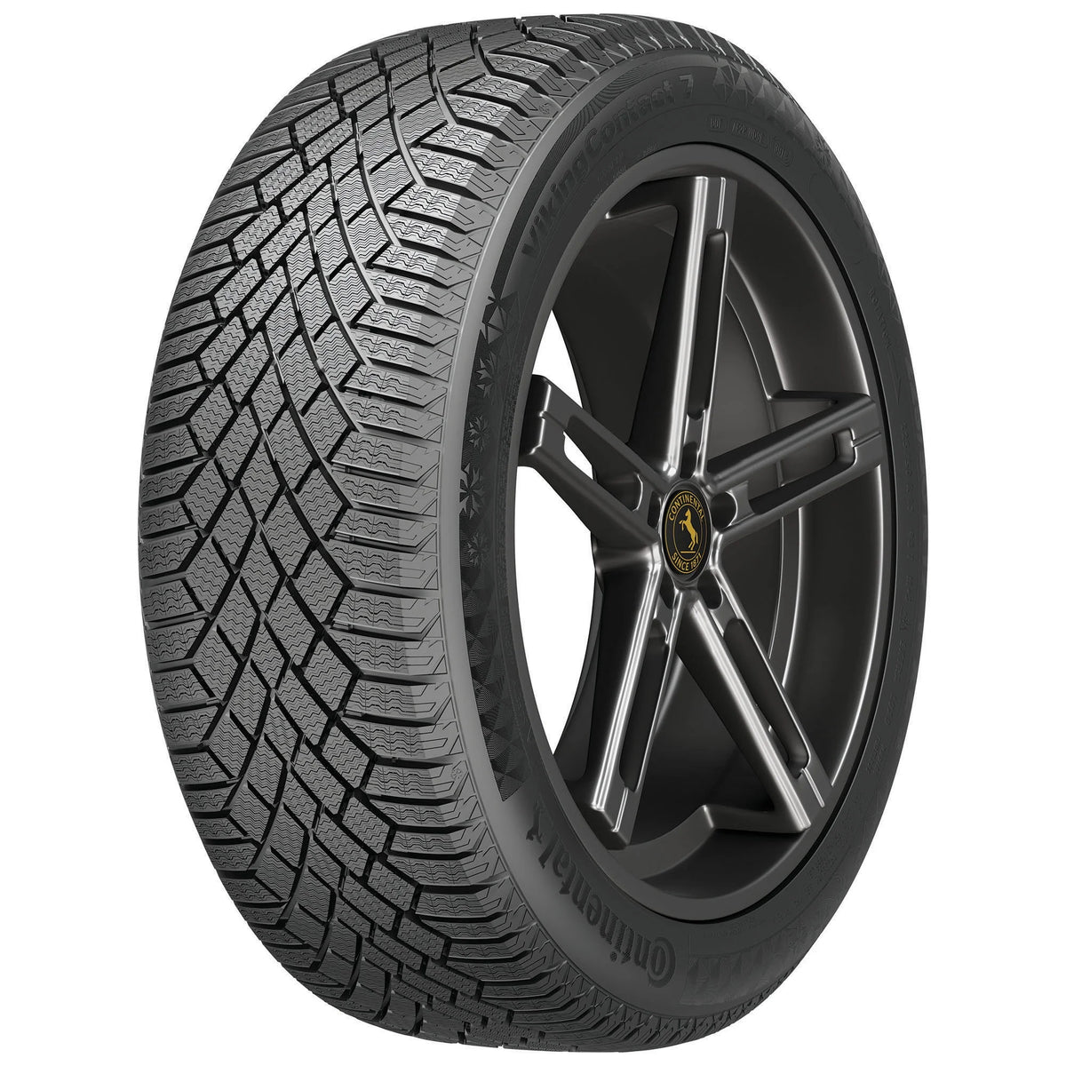 Winter Passenger Tire V1712