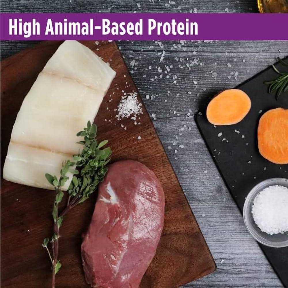 Grain-Free Dry Cat Food E613103