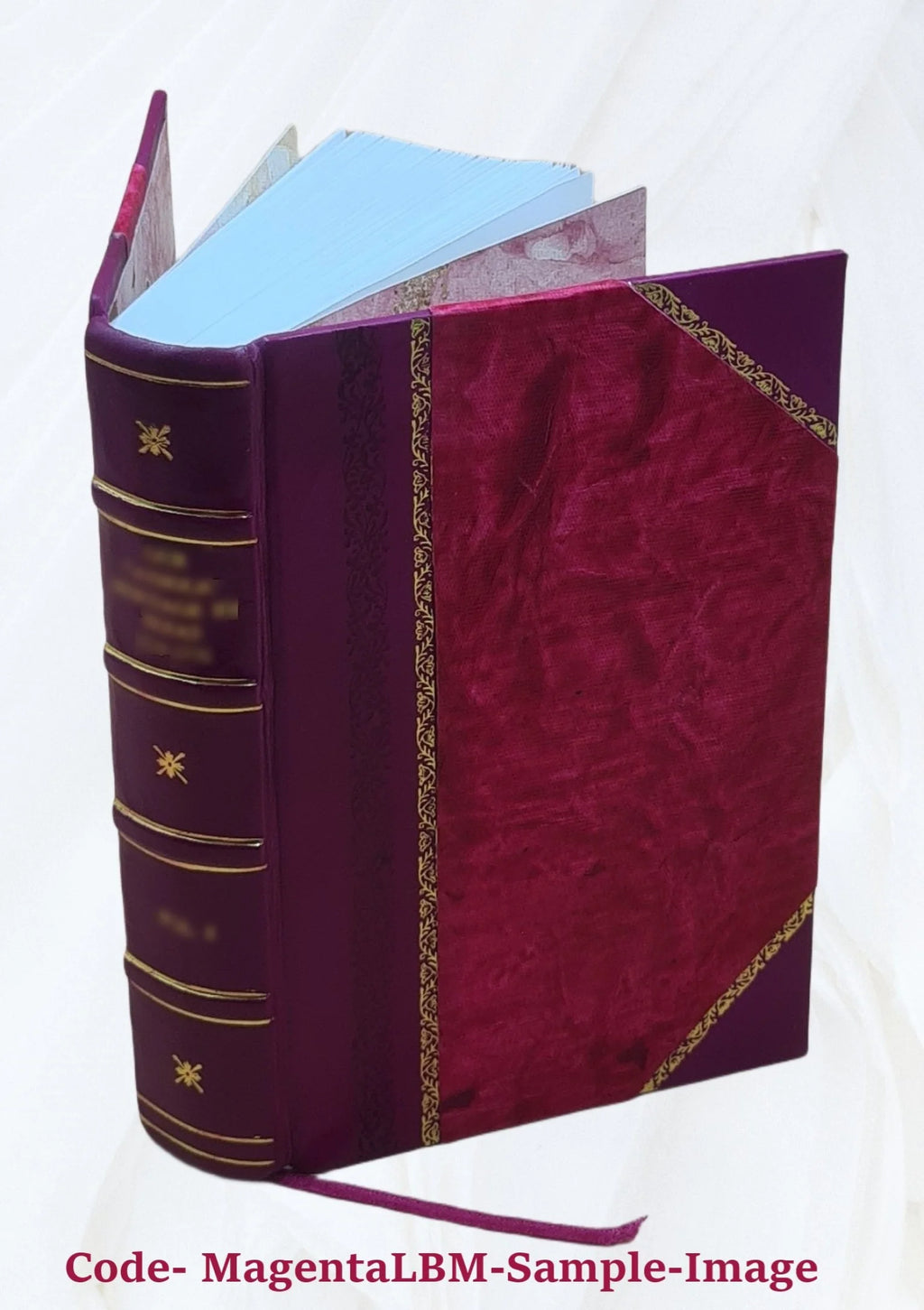 Leather Bound Furniture and Furnishings X179628
