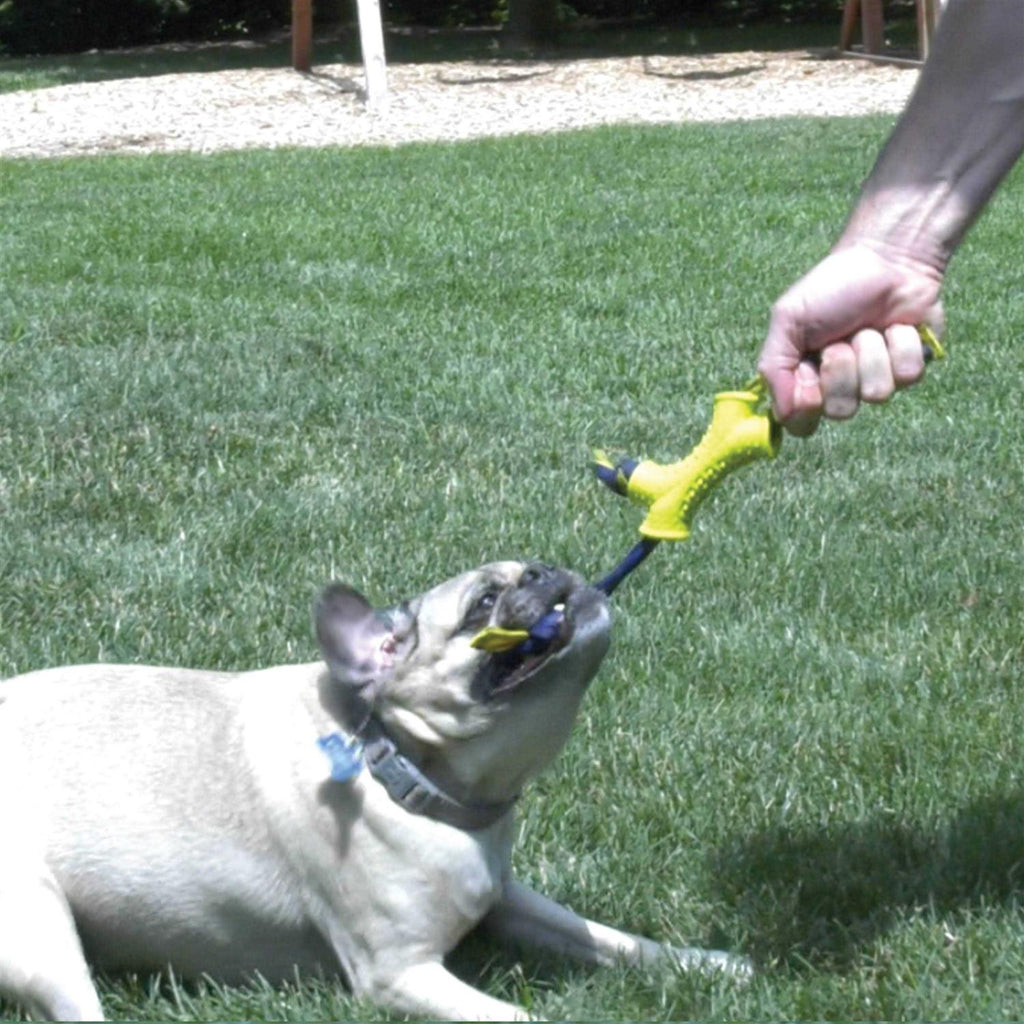 Dog Toy R387385