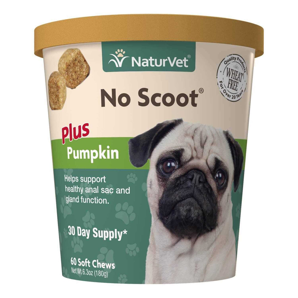 Pumpkin Soft Chew Q2311