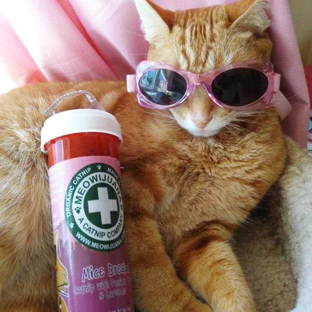 Lavender Catnip Blend H197