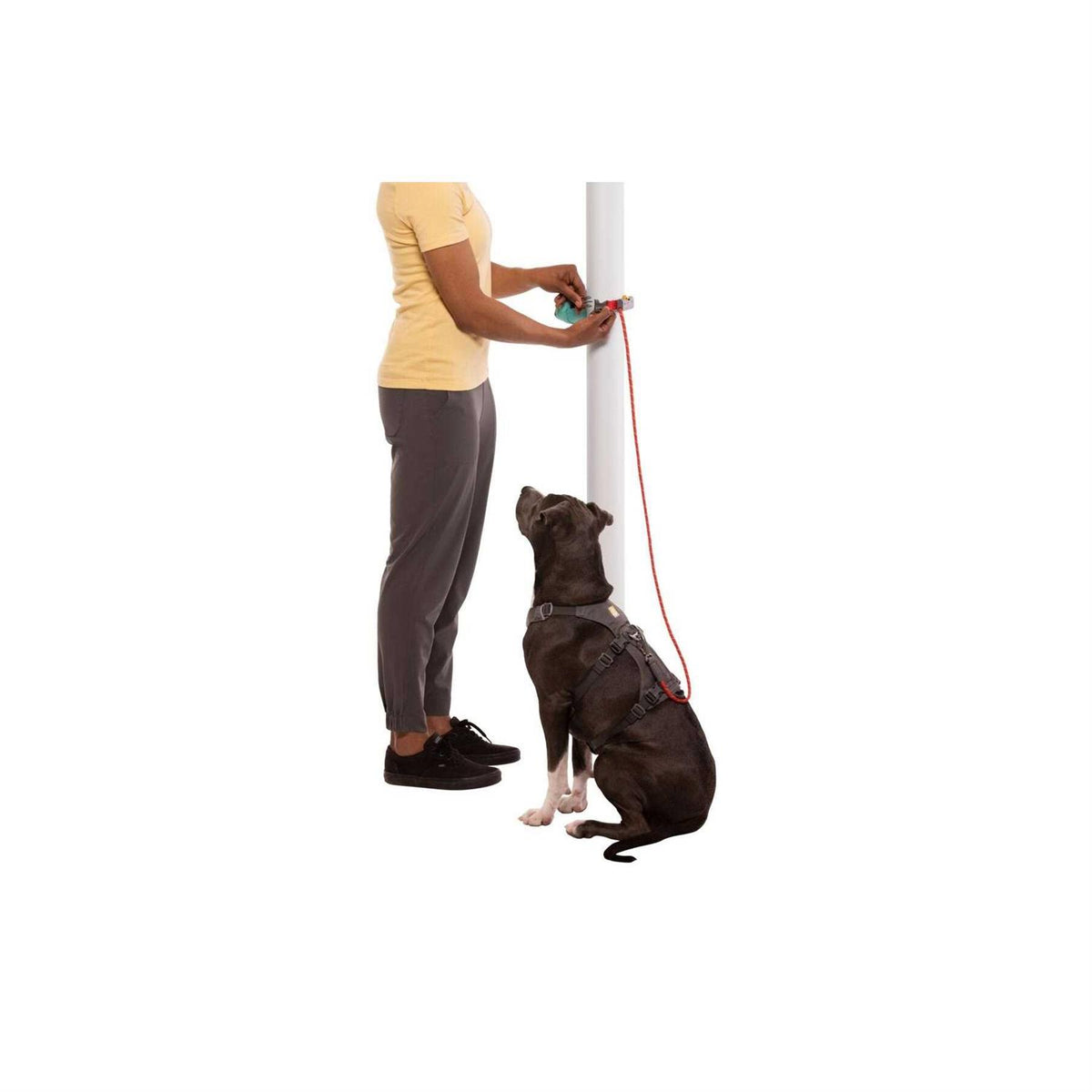 Hitch Hiker Leash X935885