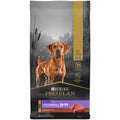 Beef & Bison Formula Dry Dog Food C410644