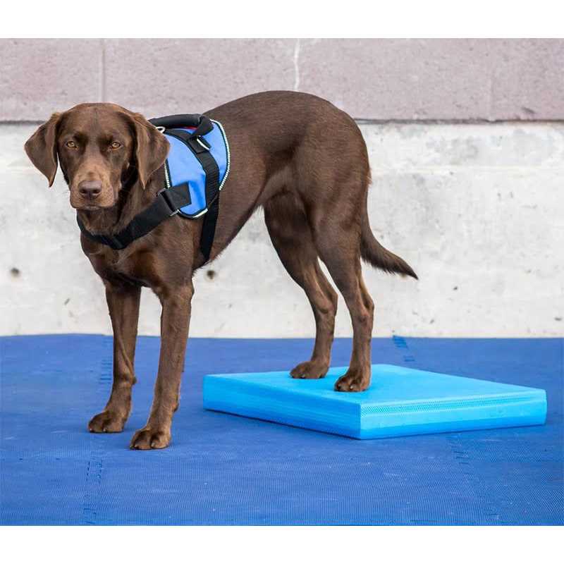 Balance Pad N55159