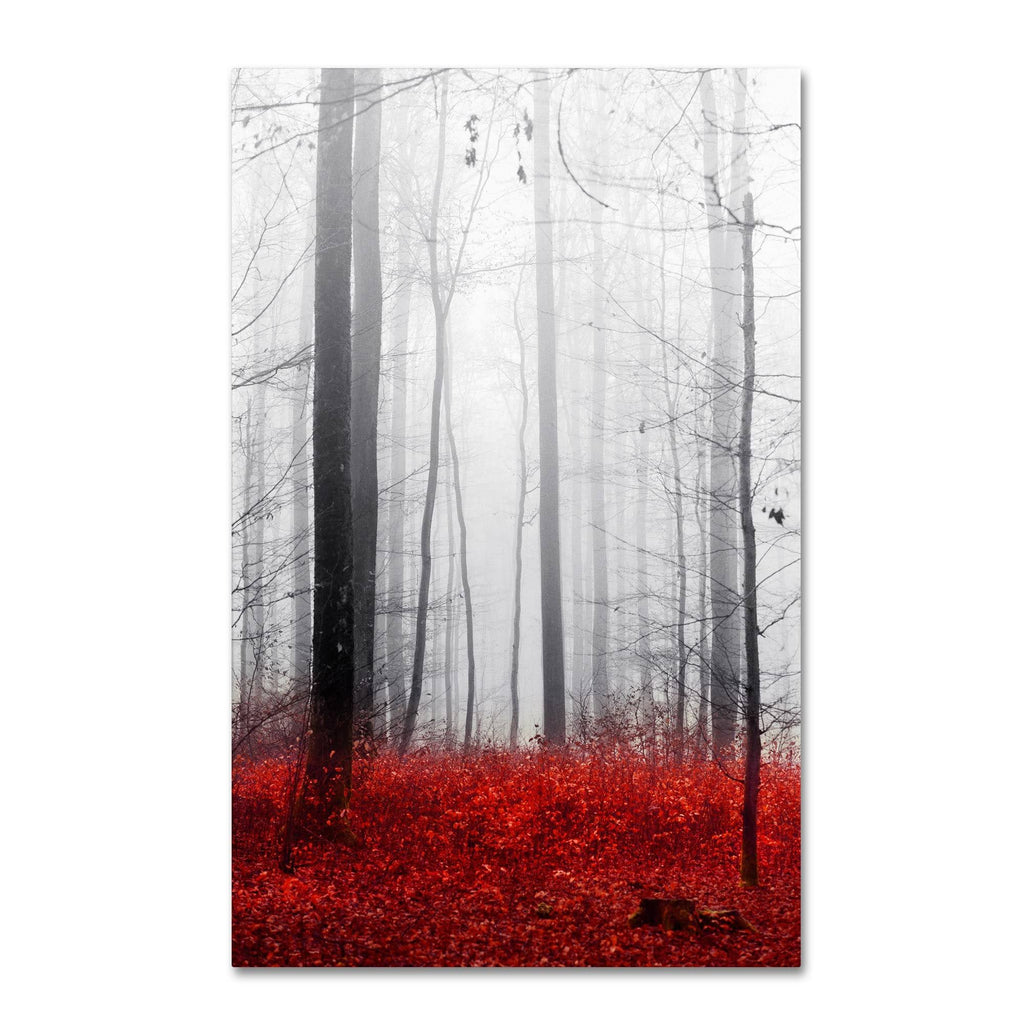 Canvas Art E378958