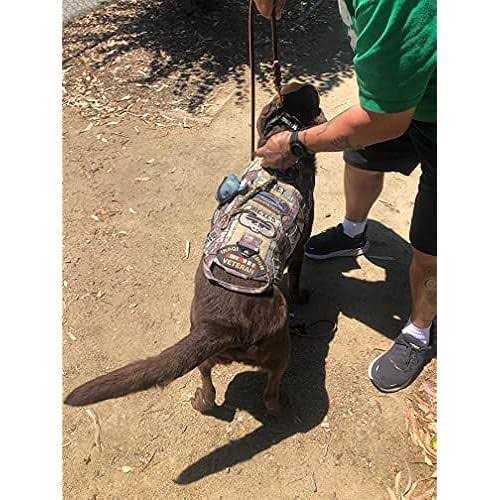 6 FT Braided Leather Dog Leash K7293