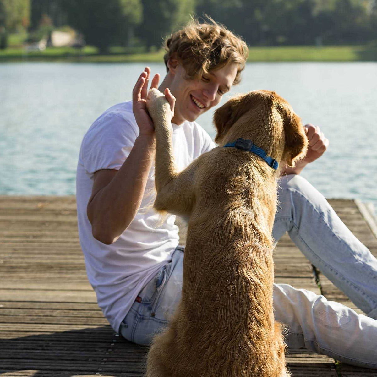 Dog Activity Monitor Health & Fitness Tracker Q49999