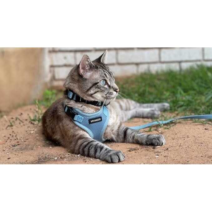 Adjustable Mesh Step-in Pet Harness A15143