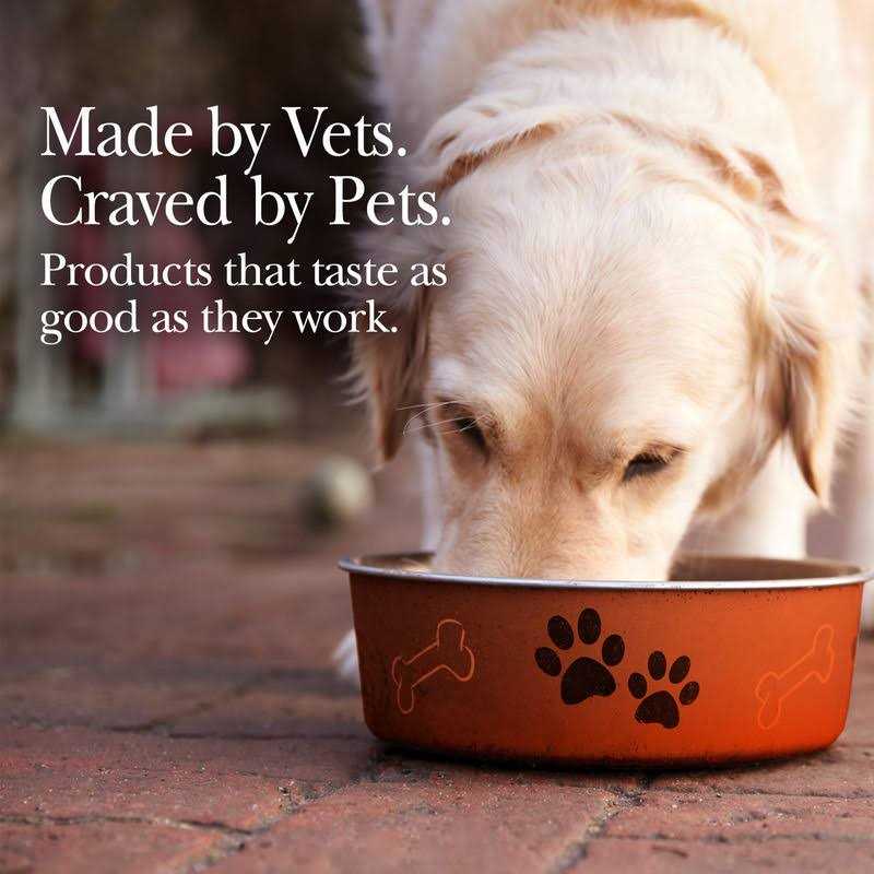 Pumpkin Puree Digestive Supplement for Cats & Dogs E581