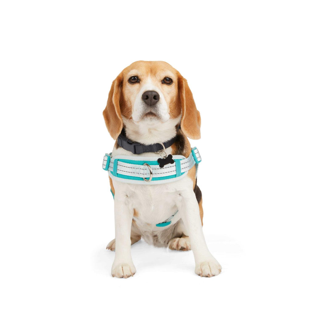 Easy On Training Dog Harness O29943