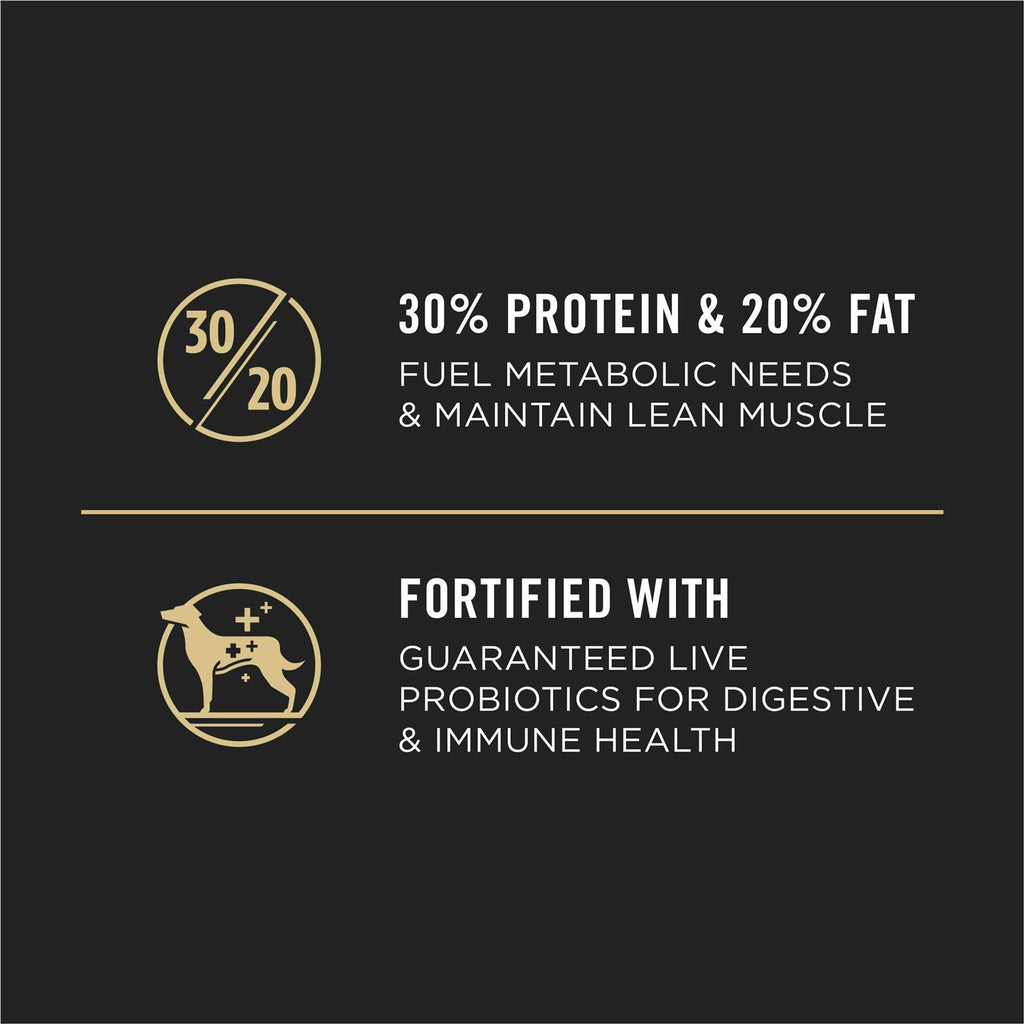 Beef & Bison Formula Dry Dog Food C410644