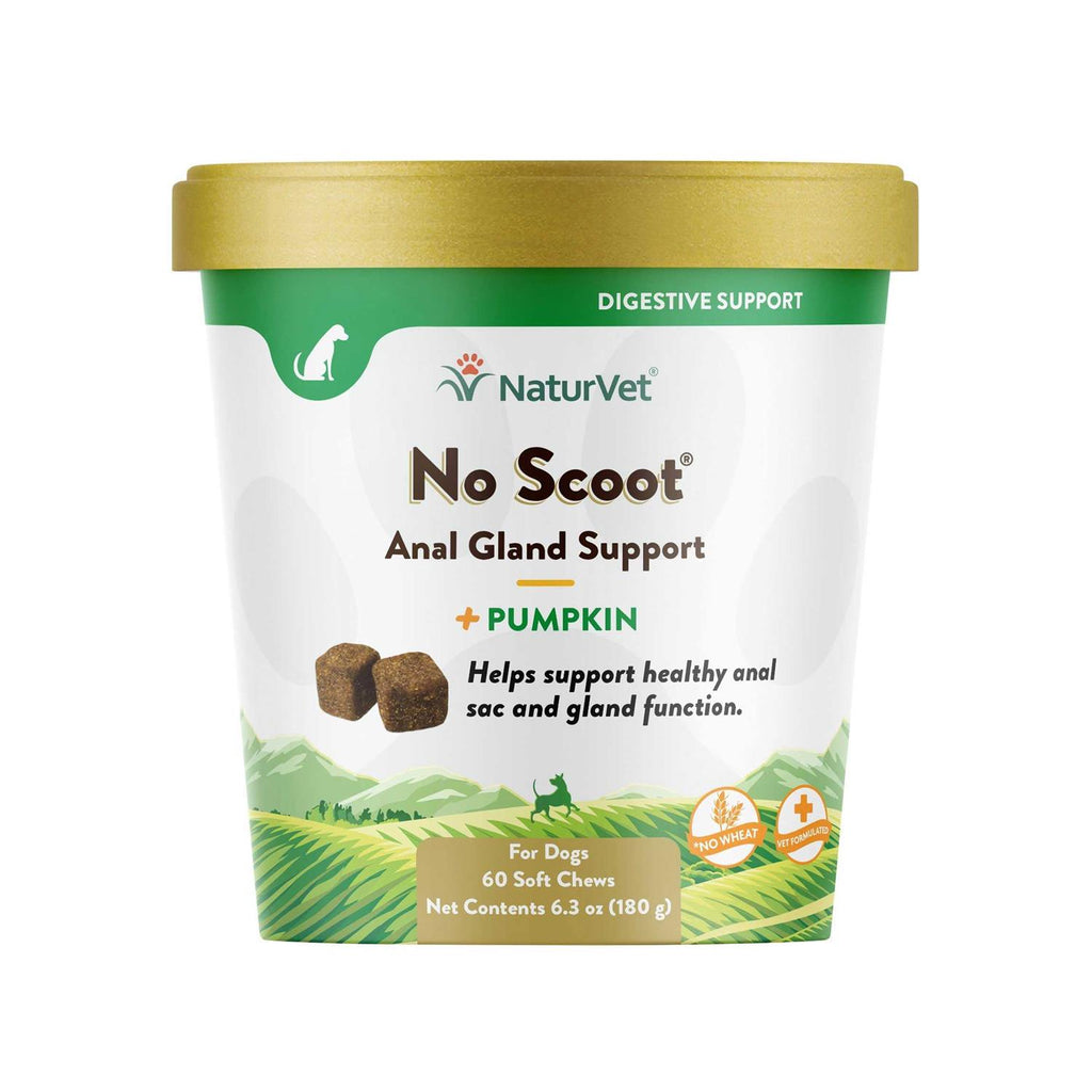 Pumpkin Soft Chew Q2311