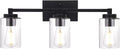 3 Light Matte Black Metal Vanity Light with Clear Glass Shade R3837