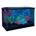 5-Gallon Aquarium Kit with LED Filter Q64496