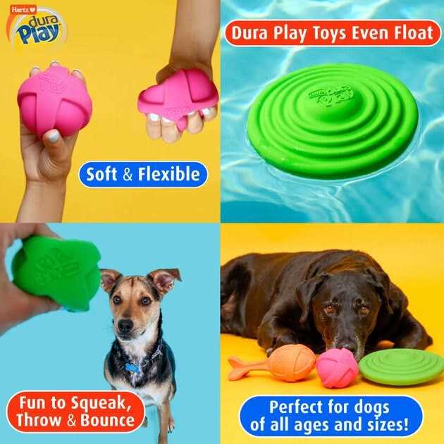 Dog Toy Y8253