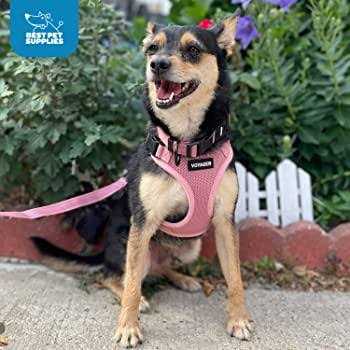 Adjustable Mesh Step-in Pet Harness A15143