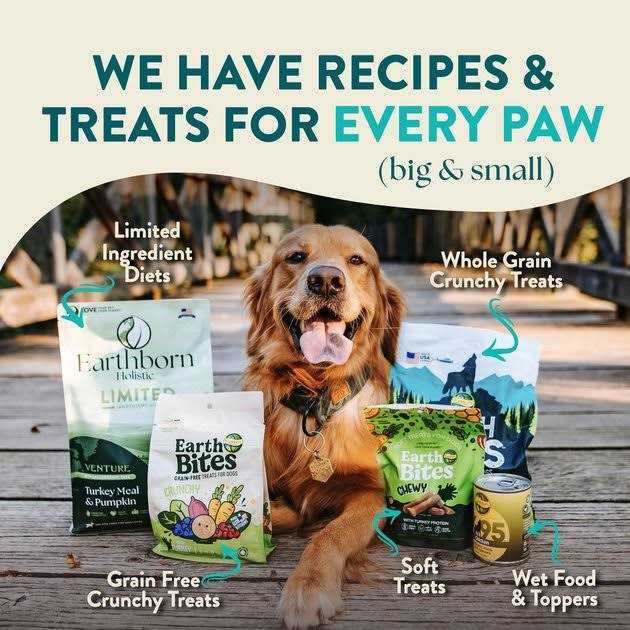 Grain Free Dry Dog Food C2592