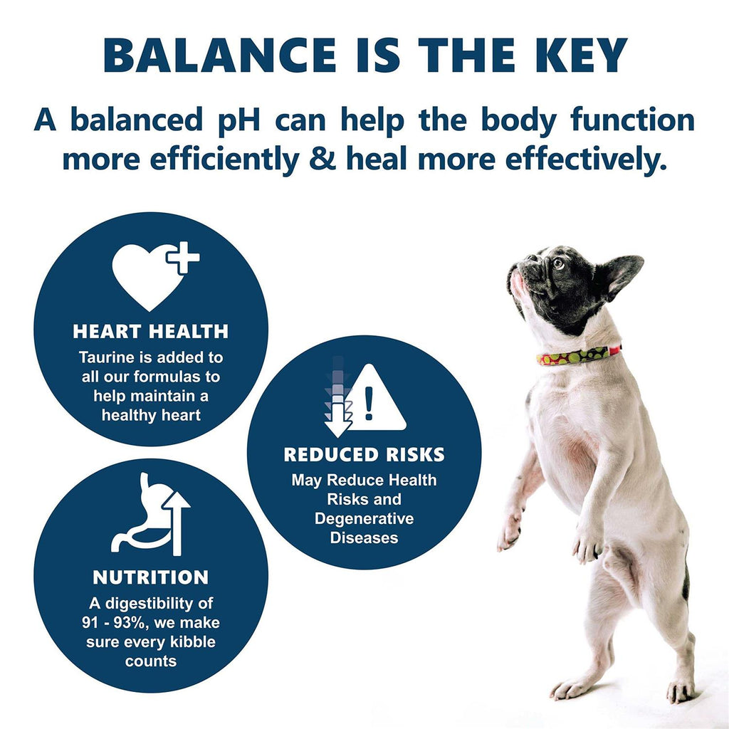 Holistic Dry Dog Food J57471