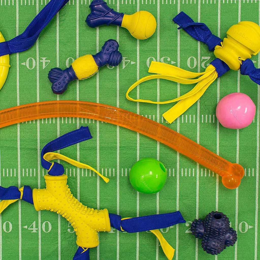 Dog Toy R387385