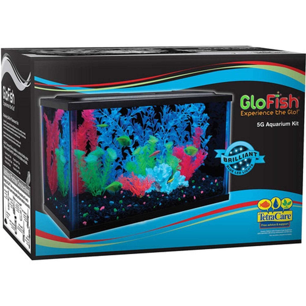 5-Gallon Aquarium Kit with LED Filter Q64496
