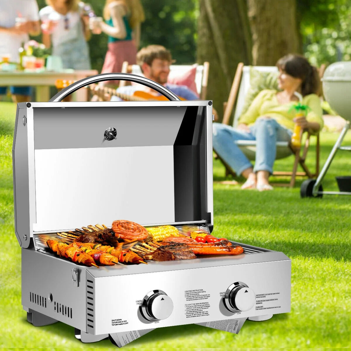 2 Burner Portable Propane Gas Grill Stainless Steel O583