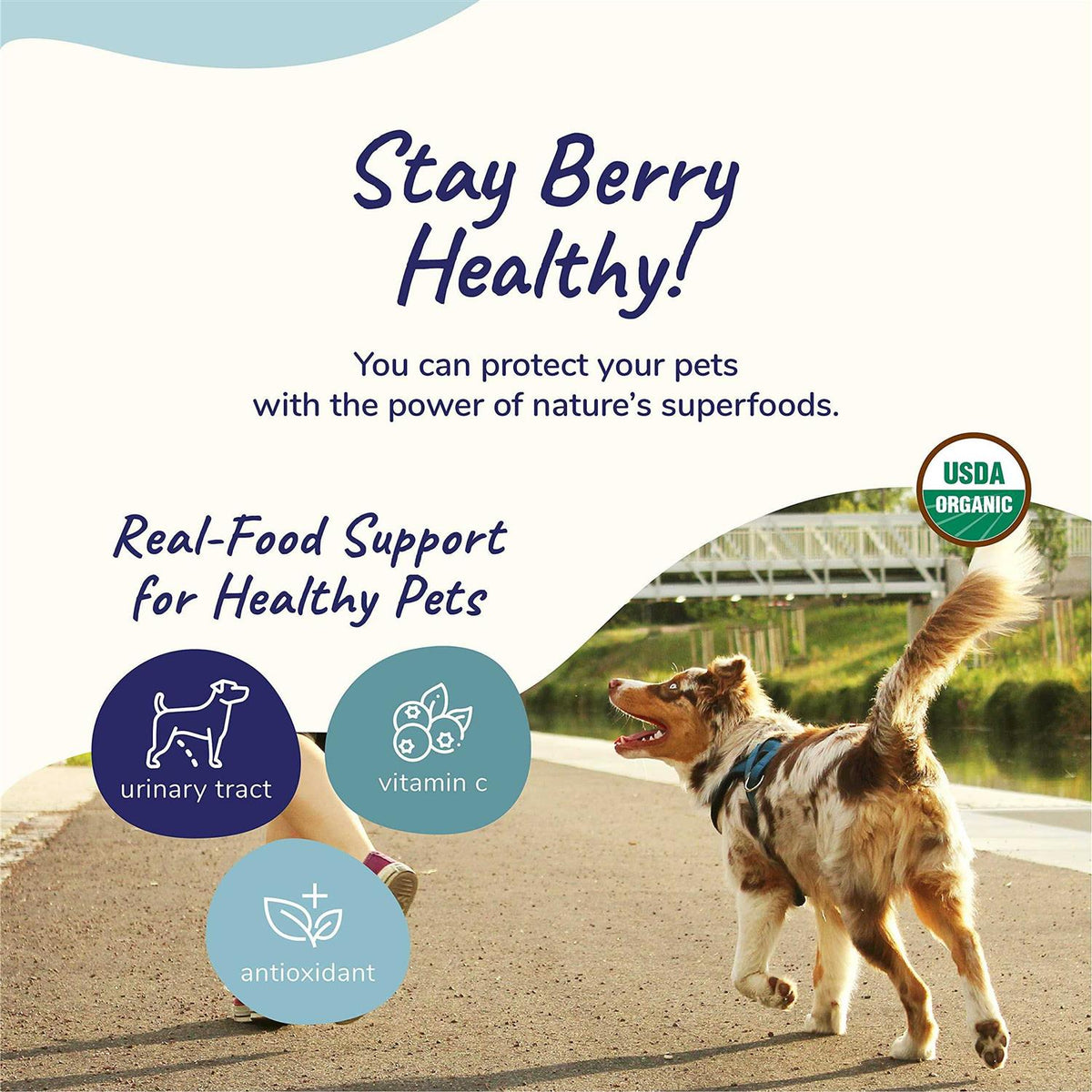 Healthy Immunity for Dogs and Cats J907