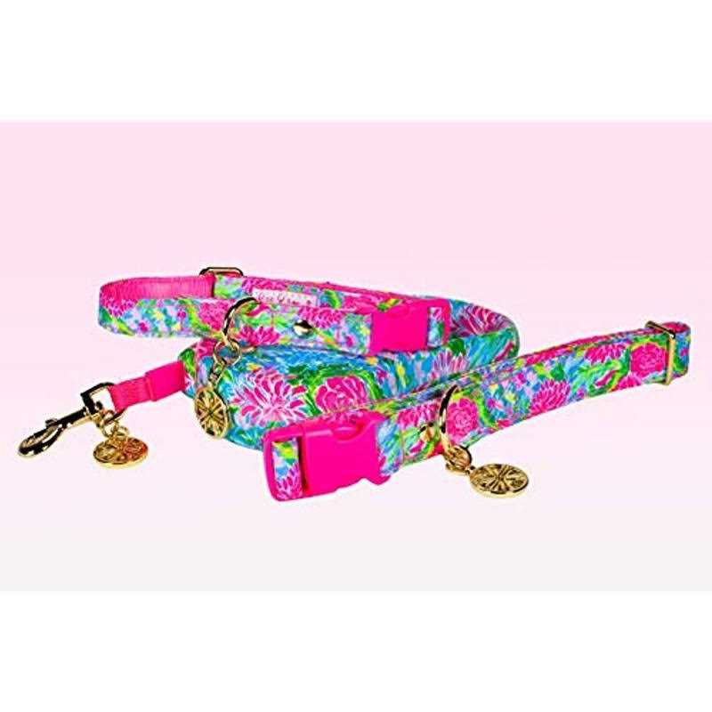 Dog Leash M98104