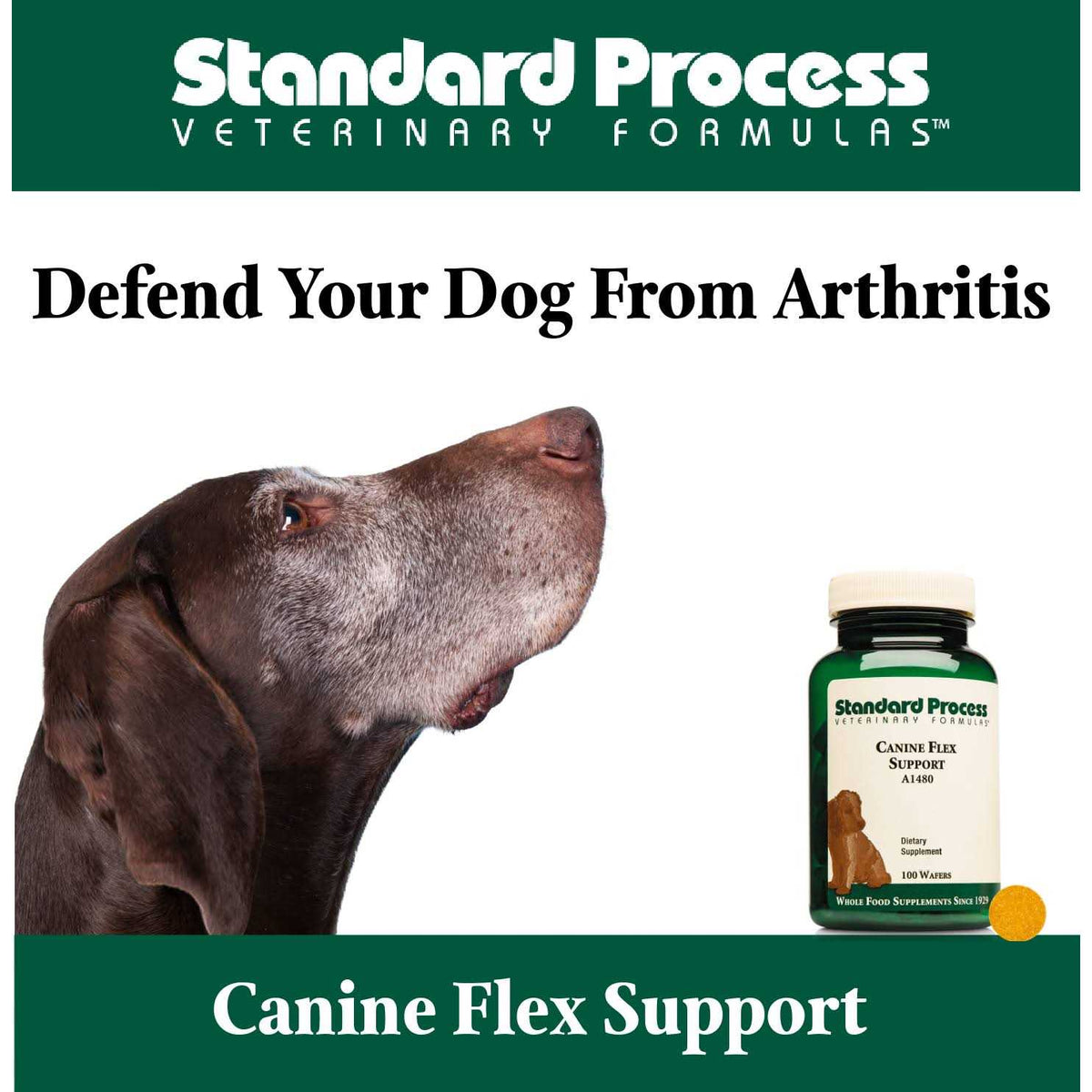 Pet Supplies L578202