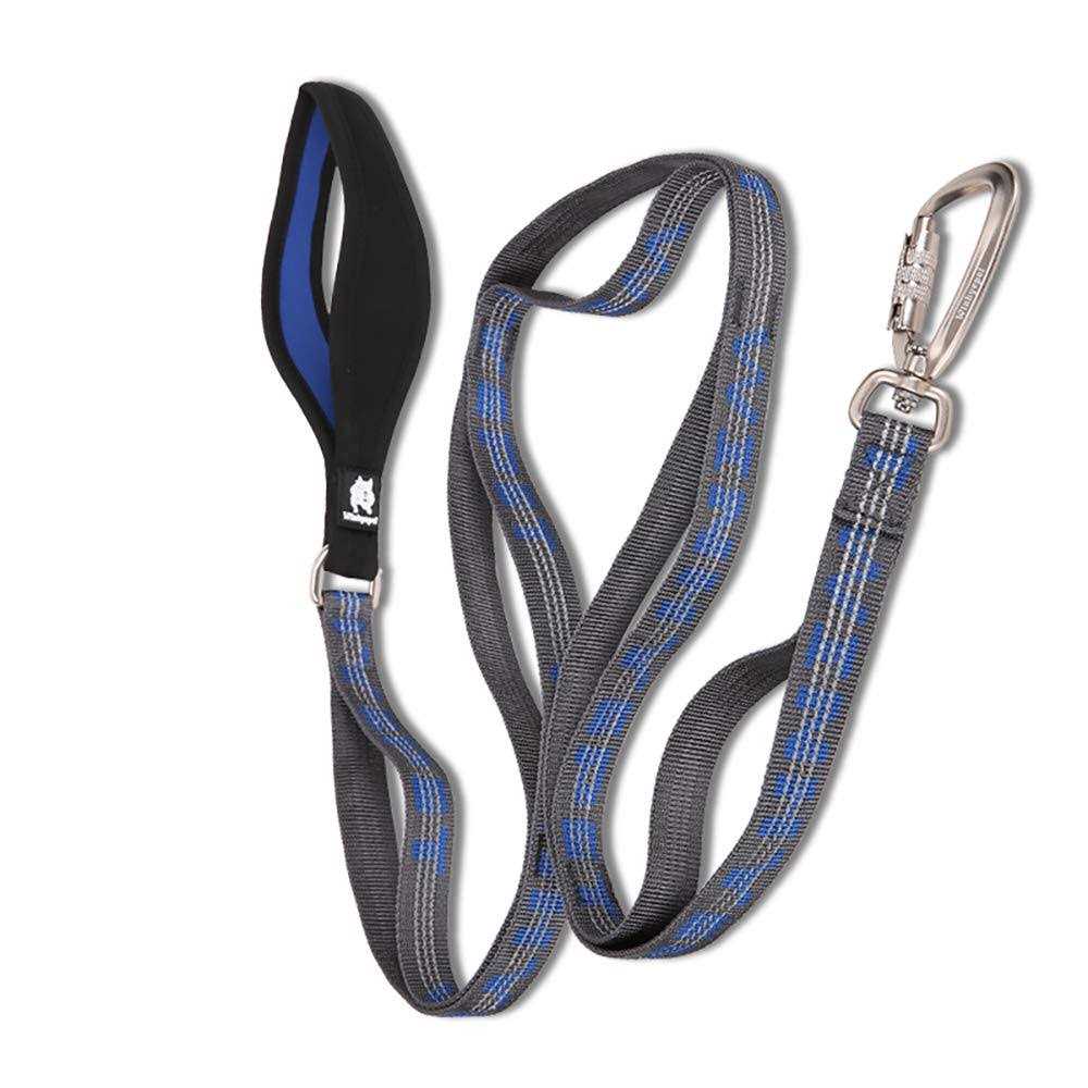 Heavy Duty Dog Leash Q858