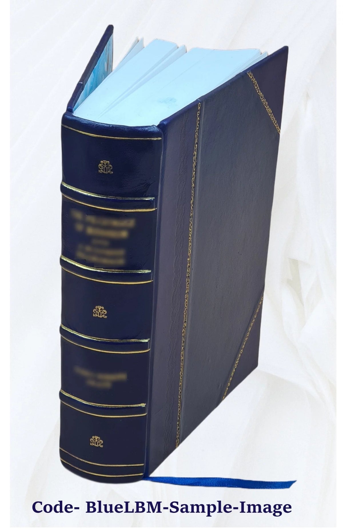 Leather Bound Furniture and Furnishings X179628