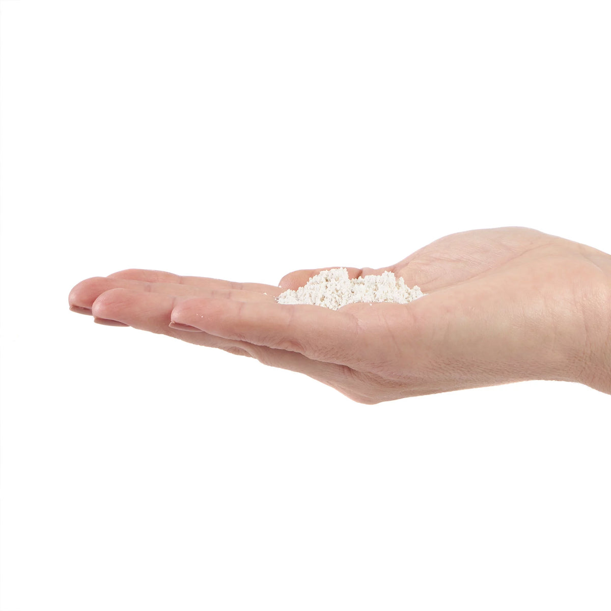 Milky Spore Granular Grub Control G404