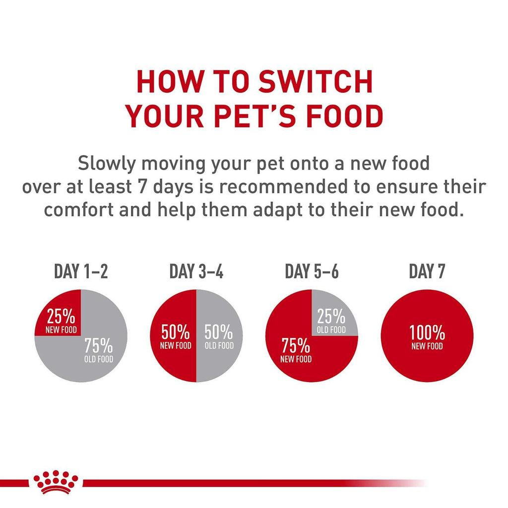 Adult Dry Dog Food R669